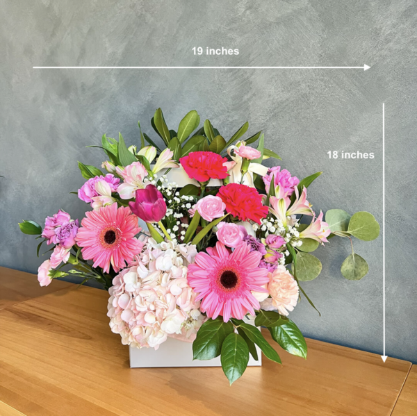 Screenshot 2025-01-19 at 6.34.09 PM Screenshot 2025-01-19 at 6.34.09 PM