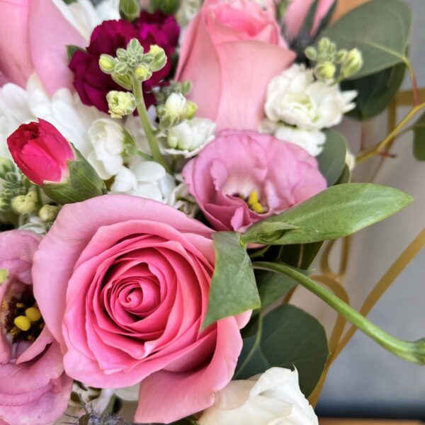 IMG_4281 IMG_4281