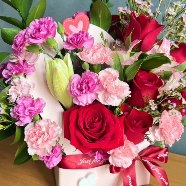 IMG_4353 (1) IMG_4353 (1)