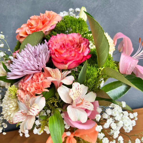 IMG_4546 (1) IMG_4546 (1)