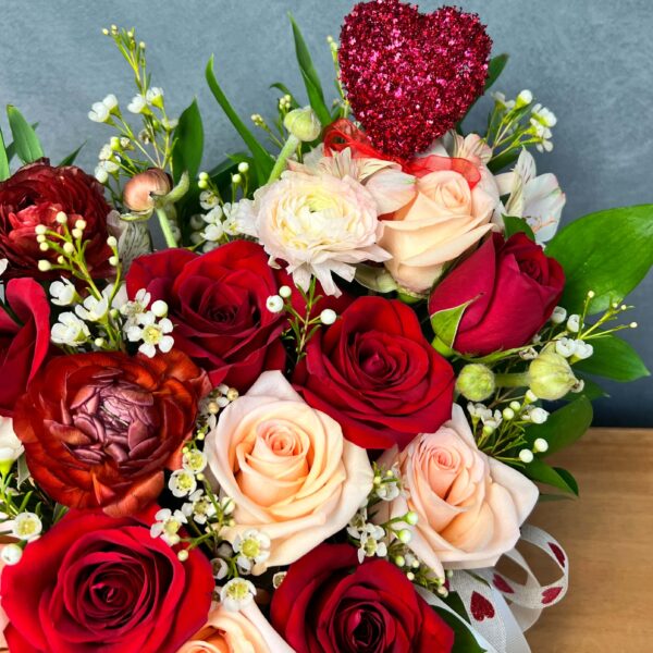 IMG_4746 (1) IMG_4746 (1)