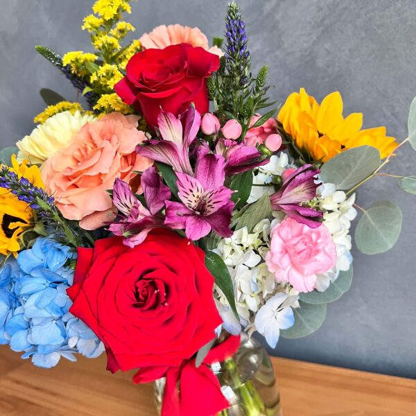 IMG_4766 (1) IMG_4766 (1)