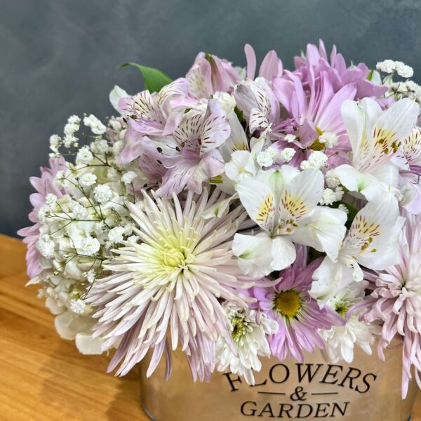 IMG_4961 (1) IMG_4961 (1)