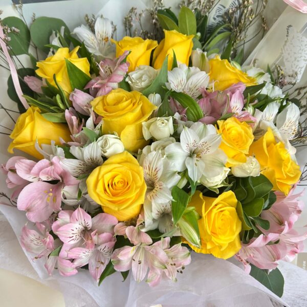 IMG_5179 (1) IMG_5179 (1)