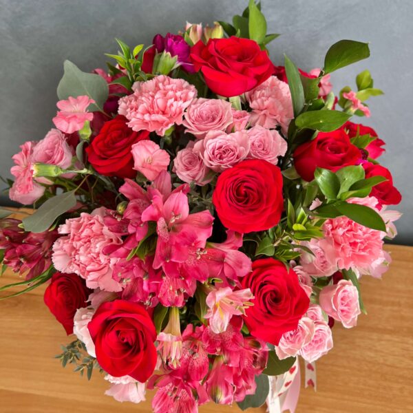 IMG_5460 (1) IMG_5460 (1)