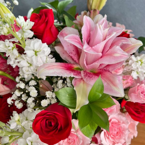 IMG_5478 (1) IMG_5478 (1)