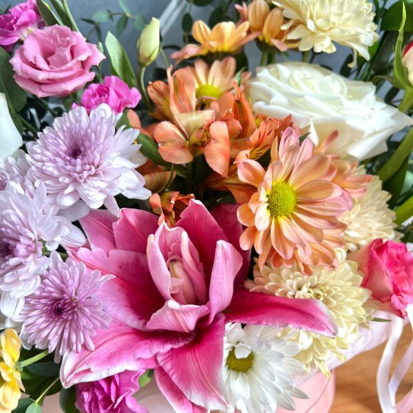 IMG_5608 (1) IMG_5608 (1)