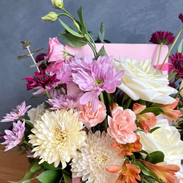 IMG_5655 (1) IMG_5655 (1)