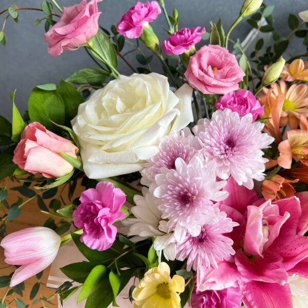 IMG_5708 (1) IMG_5708 (1)