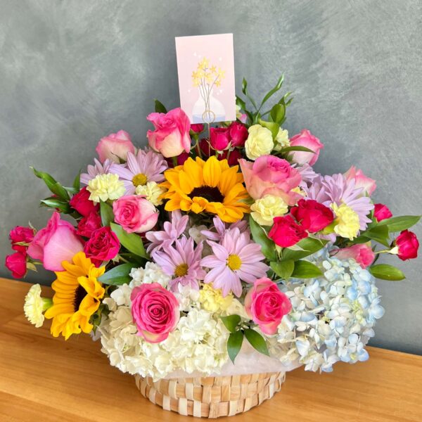 IMG_6243 (1) IMG_6243 (1)