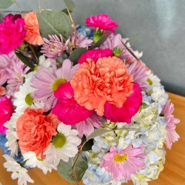 IMG_6460 (1) IMG_6460 (1)