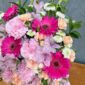 IMG_0882 (1)