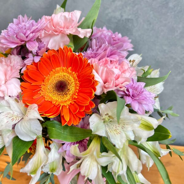 IMG_1933 (1) IMG_1933 (1)