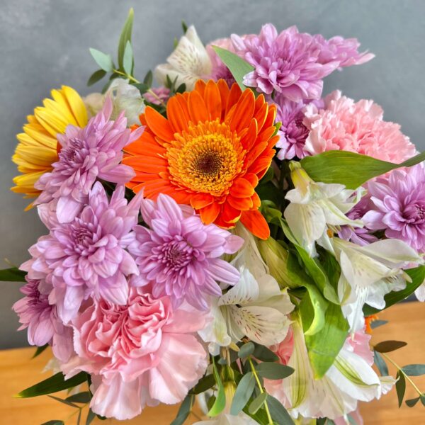 IMG_1934 (1) IMG_1934 (1)