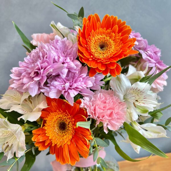 IMG_1935 (1) IMG_1935 (1)