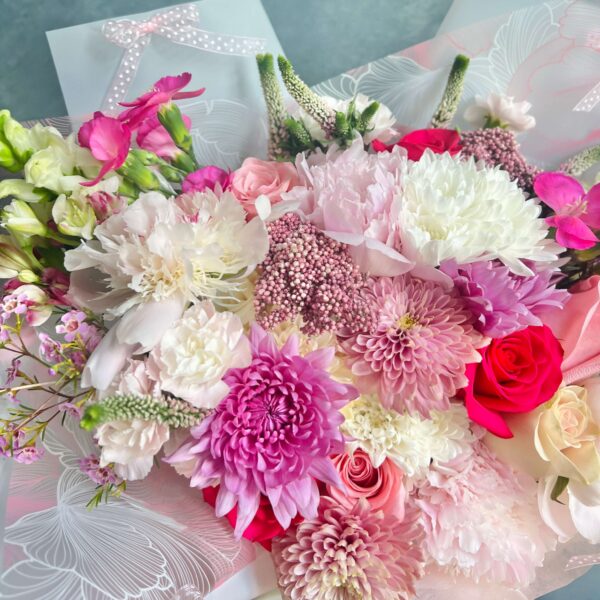 IMG_8064 (1) IMG_8064 (1)