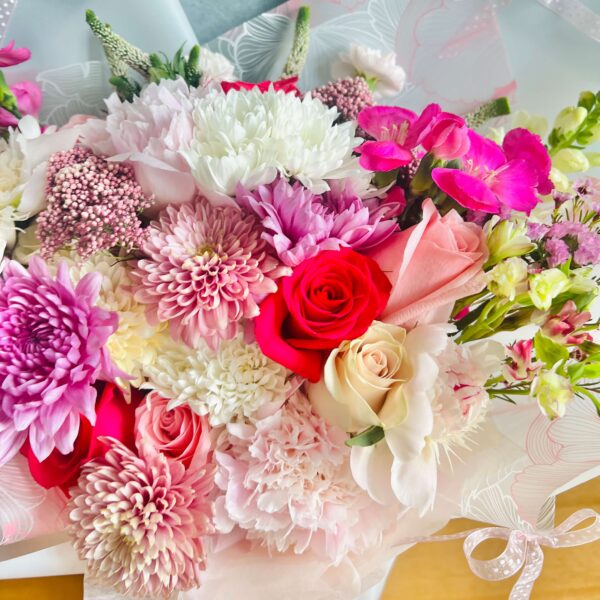 IMG_8080 (1) IMG_8080 (1)