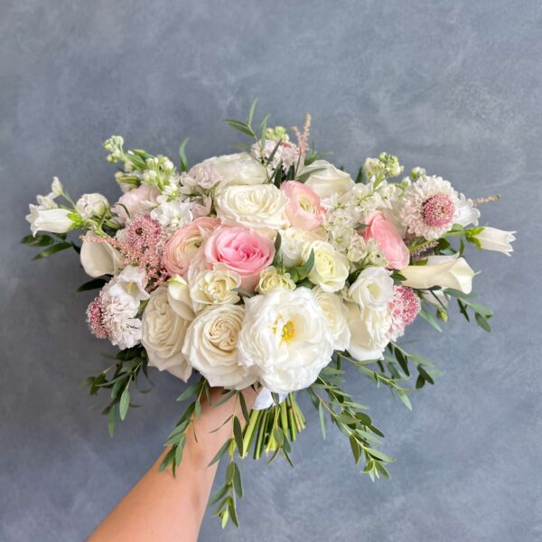 IMG_3239 (1) IMG_3239 (1)