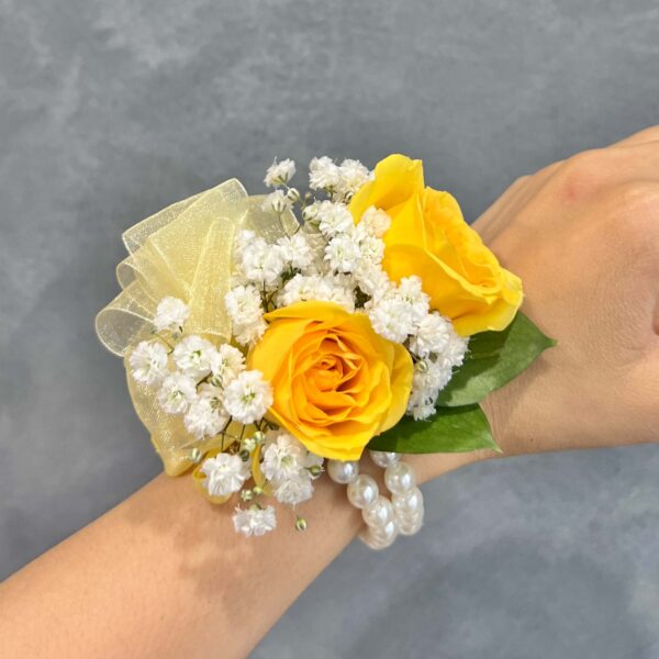 IMG_3269 (1) IMG_3269 (1)