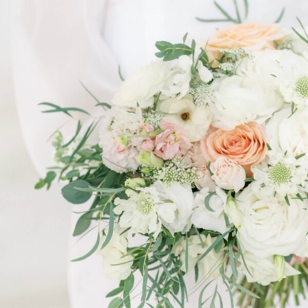 IMG_4123 2 (1) IMG_4123 2 (1)